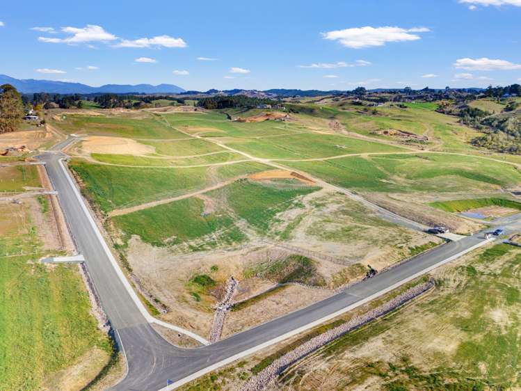 Kamana Estate Mapua_16