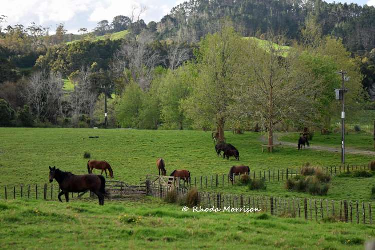 726 Paparoa Station Road Maungaturoto_83