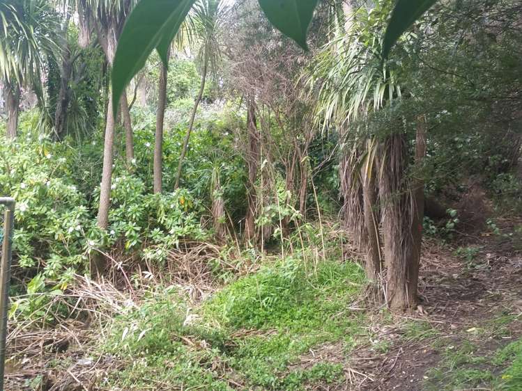 3/24 Gladstone Road Parnell_1