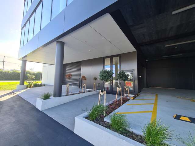 33 Totara Street Mt Maunganui_1