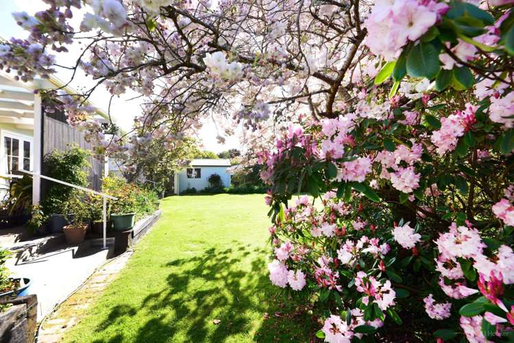 36 Frederick Street Makikihi_23