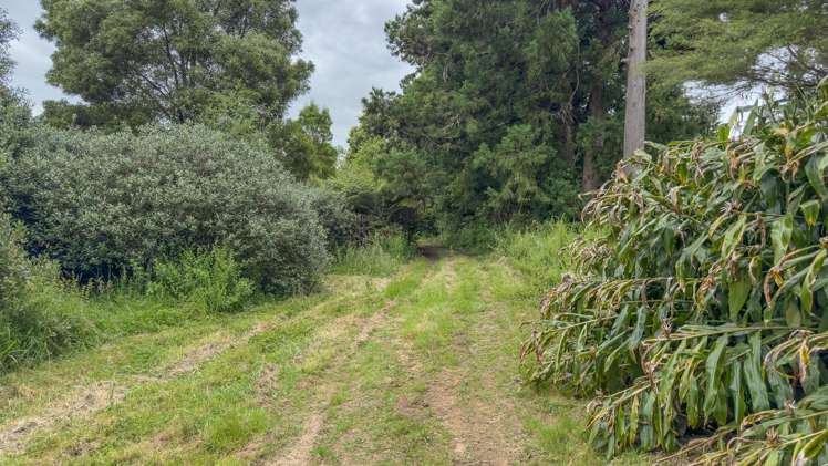 654 Kauaeranga Valley Road Thames_20