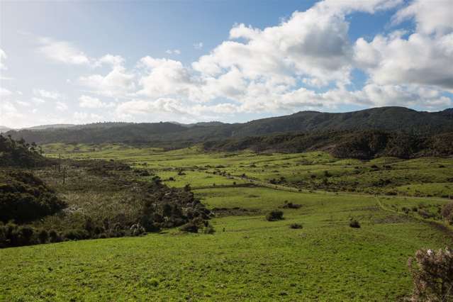 60 Snake Creek Road Kahurangi National Park_2