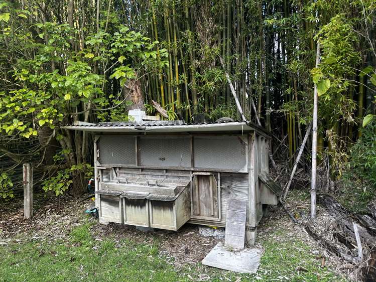 237 Stanners Road Kerikeri_17