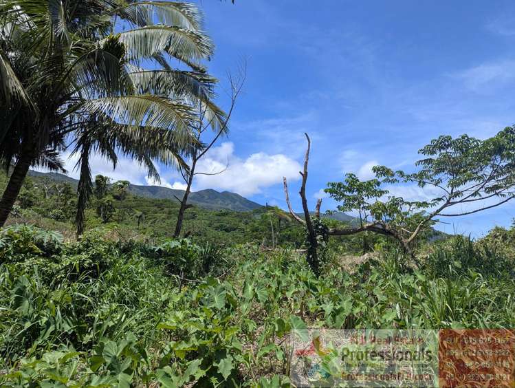 Address withheld Taveuni_13