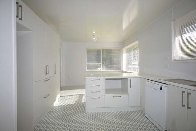 283 River Road Kawerau_1