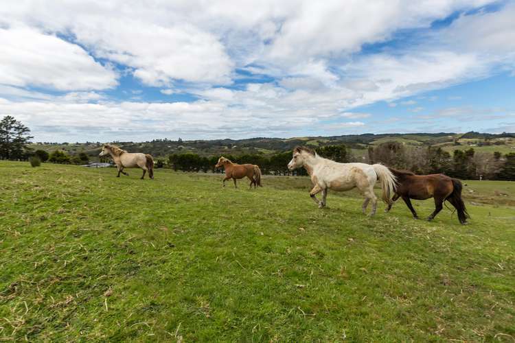 35 Boundary Road Hikurangi_15