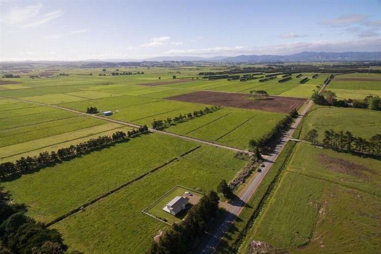 73 West Road Awanui_5