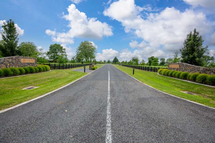 Station Road Matamata_5