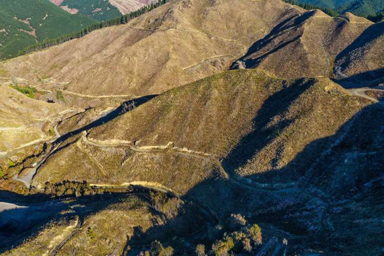 Waihopai Valley Road Waihopai Valley_9