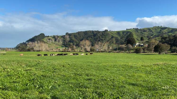 131 Puriri Valley Road Puriri_14