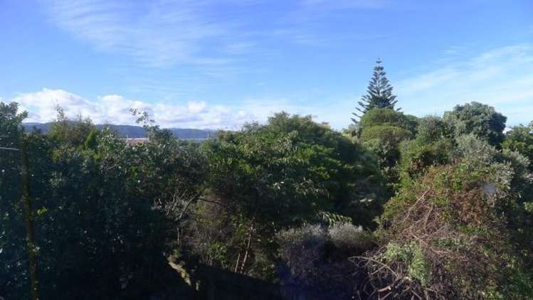 2/40 Nelson Street Petone_8