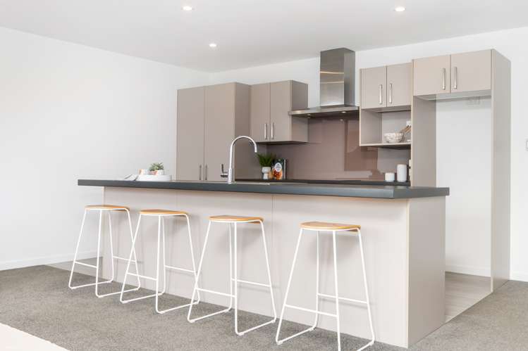 16 Millar Street Sydenham_9