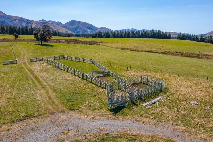 202 Mount Lyford Forest Drive Lyford_12