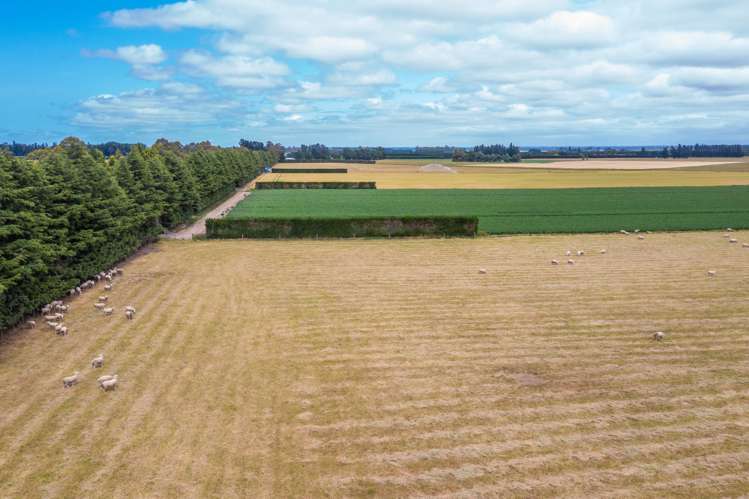 Waireka Road Darfield_14