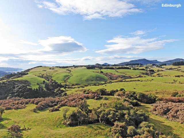 140 Waitati Valley Road Upper Waitati_3