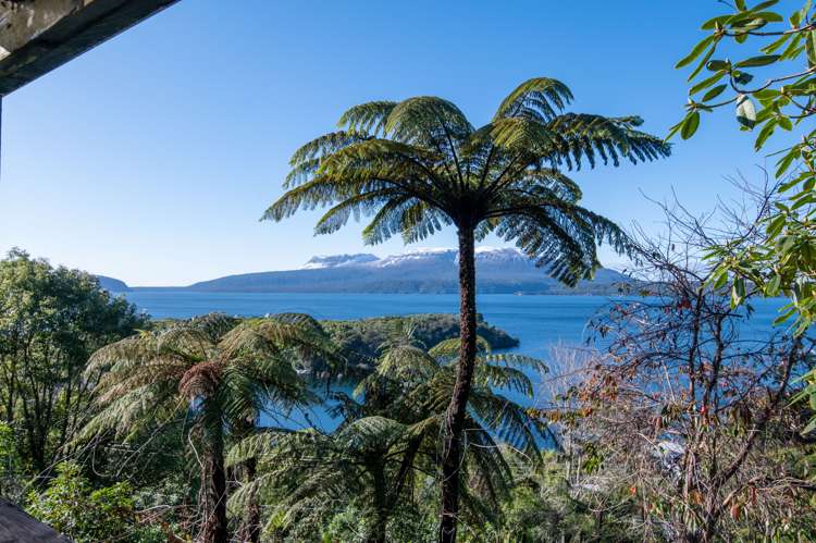 62 Spencer Road Lake Tarawera_3