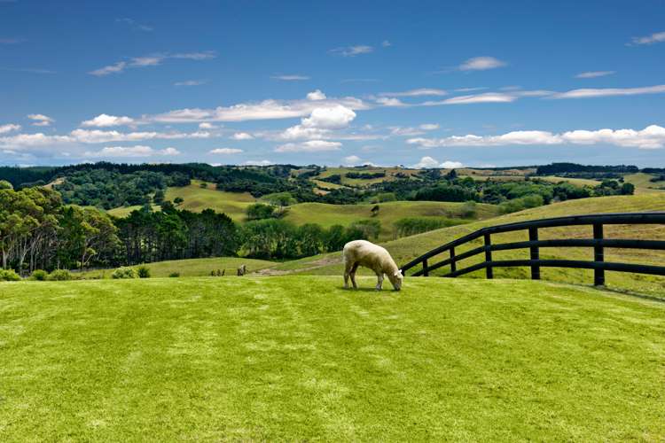 216 Fletcher Road Waimauku_19