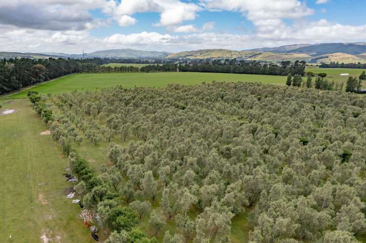 164 Mackenzies Road Waipara_21