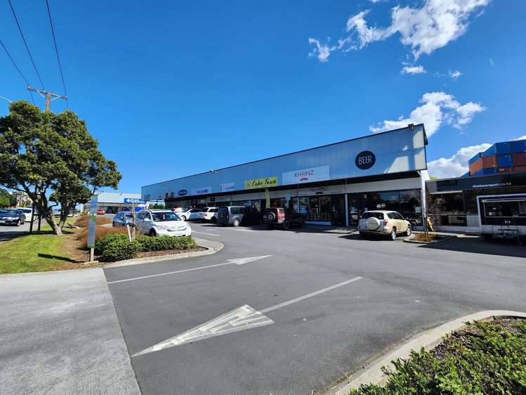 Unit 7/71 Jellicoe Road Panmure_28