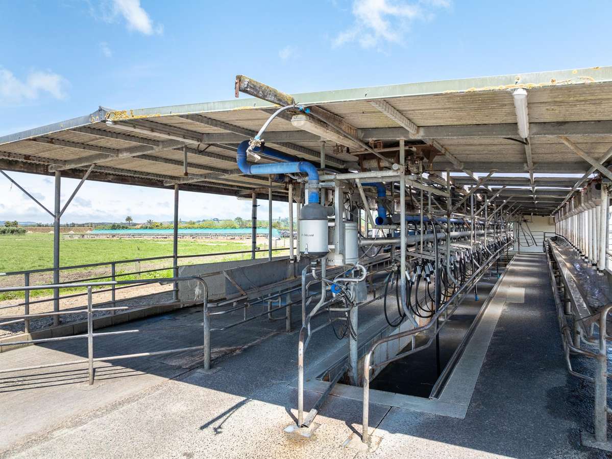 591 / 619 Waiuku-Otaua Road_4