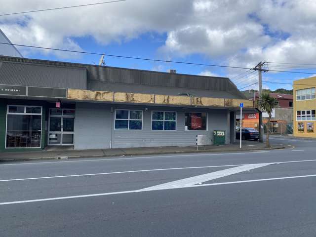 225 -227 Riddiford Street Newtown_2