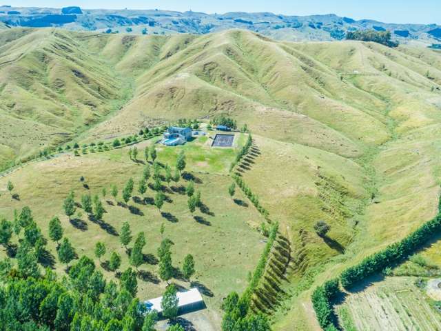 287a Millars Road Longbush_3