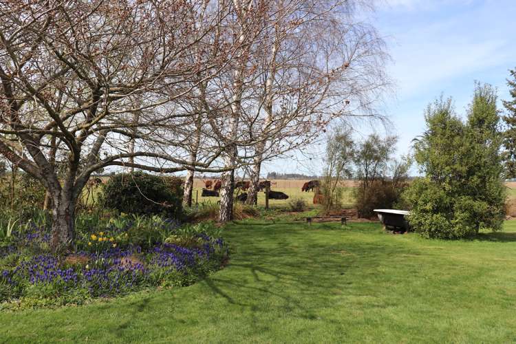 282 Back Track Methven_15