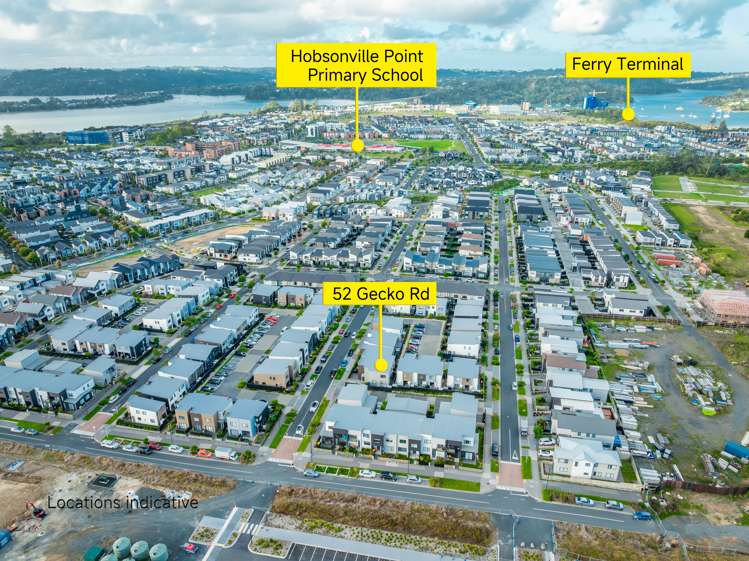 52 Gecko Road Hobsonville_14