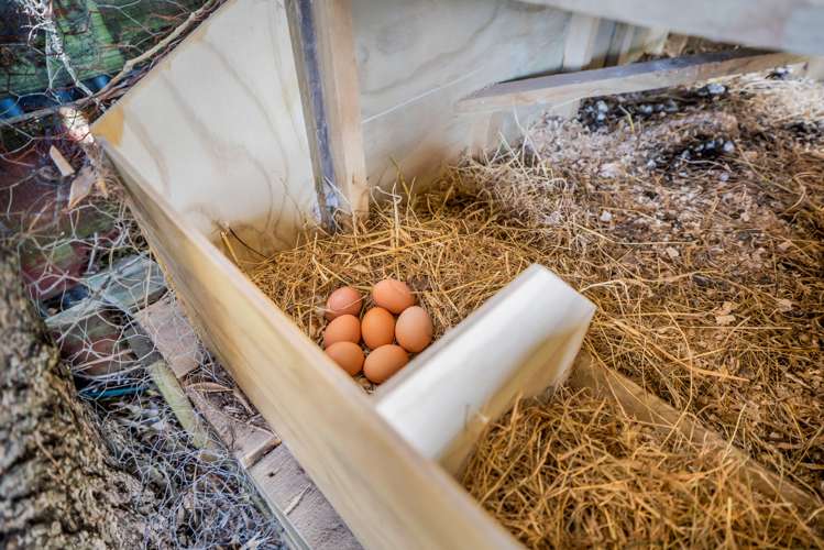 12 Miro Street Merrilands_17