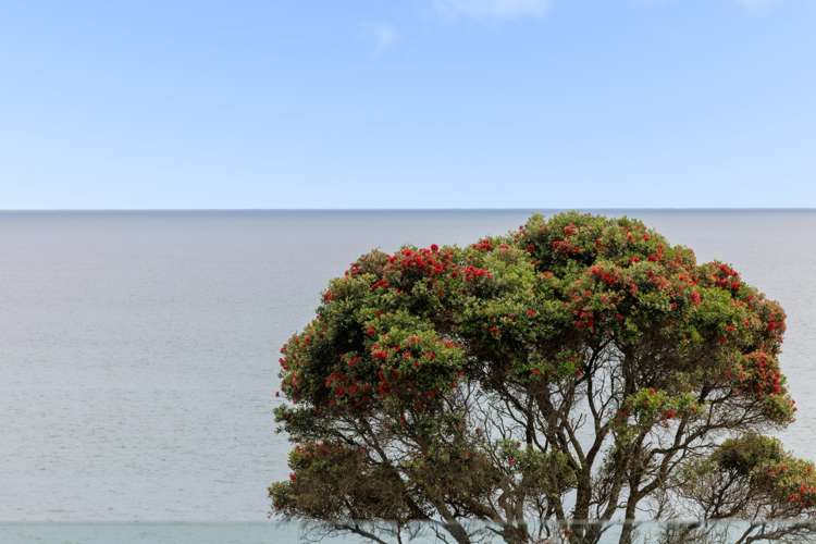 7 Marjorie Lane Papamoa_7