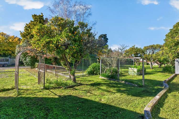 13 Seymour Road Inner Kaiti_32