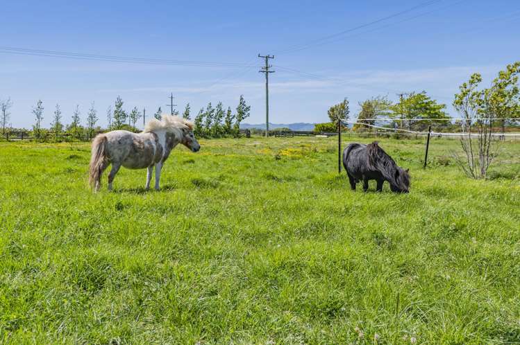 395A Goulds Road Springston_12