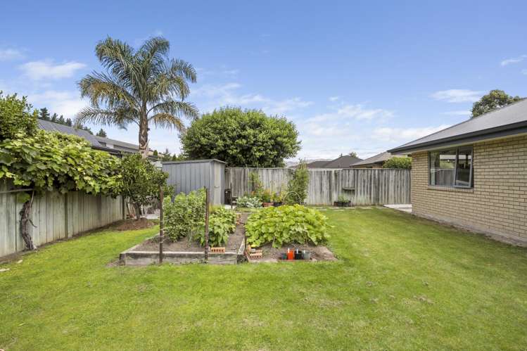 171 Taylor Pass Road Witherlea_17