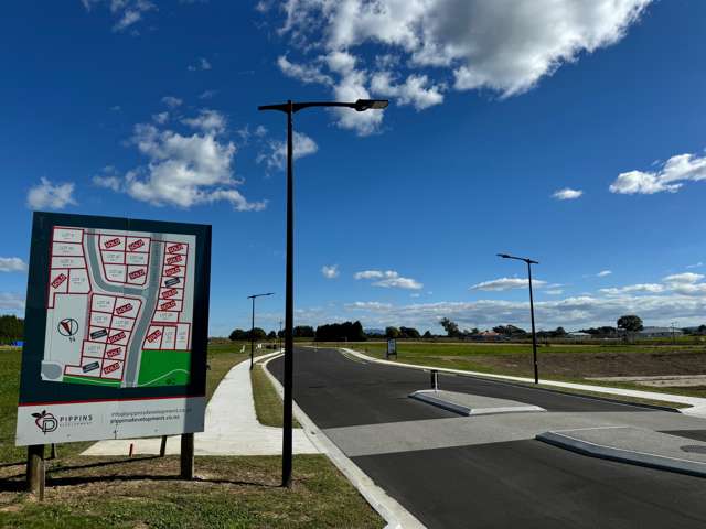 Pippins Development Matamata_1