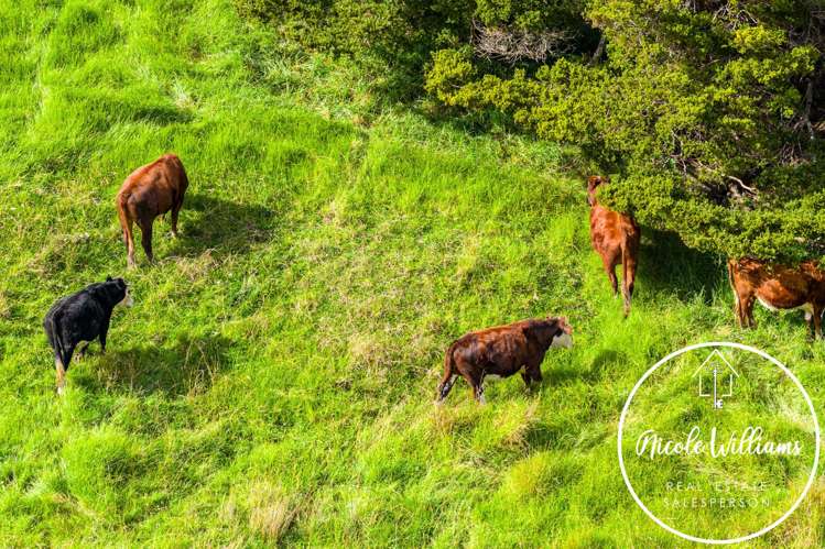 297 Heatley Road Whakapirau_37