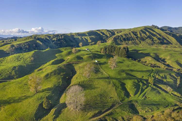 3099 State Highway 4 Te Kuiti_3