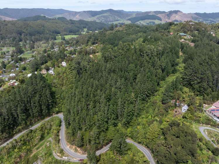 222-228 Blue Mountains Road Blue Mountains_5