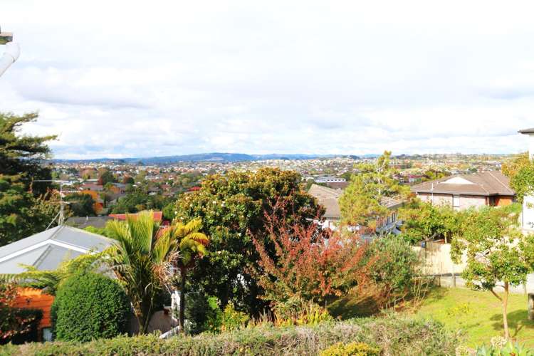 66 Bradbury Road Botany Downs_17