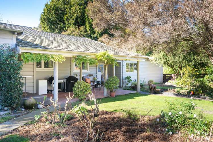 541 Napier Road Mangateretere_8