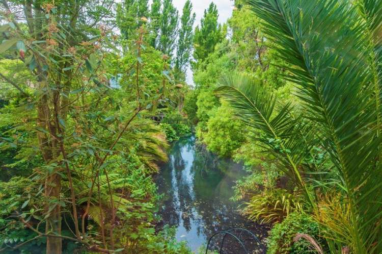 74 Moffat Drive Lincoln_15