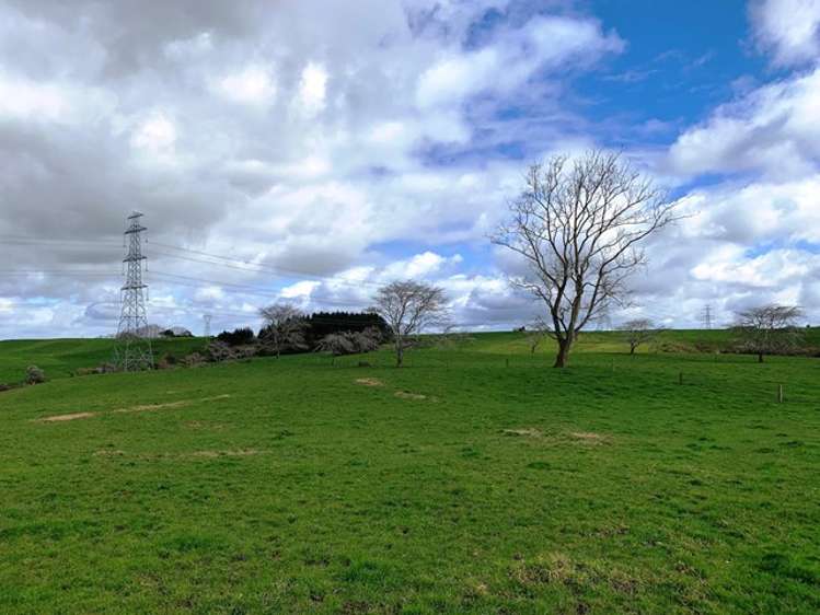 Maxwell Road Maramarua_8