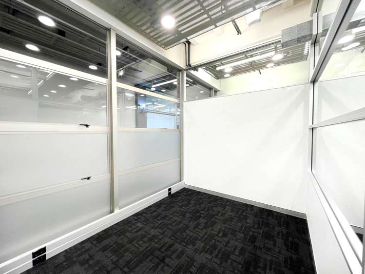 72 Dominion Road Mt Eden_7