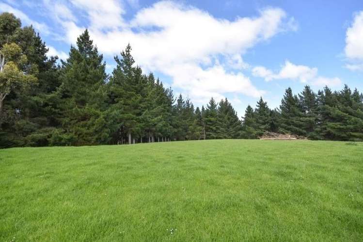 176 Brighton Road Waldronville_17