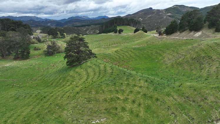 2164 Te Mai Road Tinui Valley_10