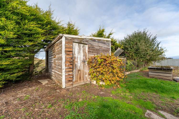 65 Springfield Road Totara_18