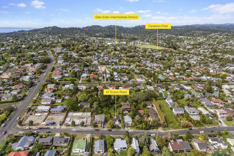47 Evans Road Glen Eden_24