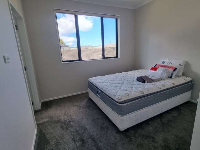 320c Royal Road Massey_4