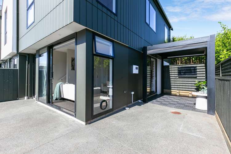 16/6 Oswald Crescent Paparangi_6