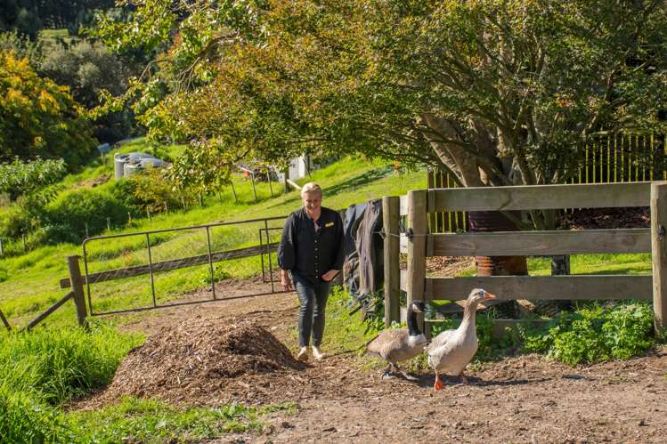 108 Te Puna Quarry Road Wairoa_23